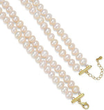 Load image into Gallery viewer, AAA Quality Double Strand Golden Freshwater Pearl Bracelet for Women